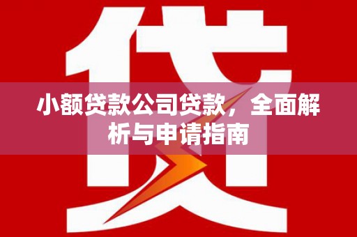 大岭山小额贷款公司贷款，全面解析与申请指南