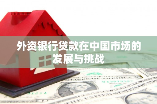 大岭山外资银行贷款在中国市场的发展与挑战
