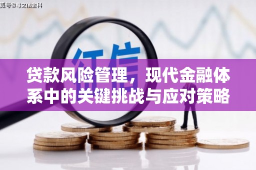 大岭山贷款风险管理，现代金融体系中的关键挑战与应对策略