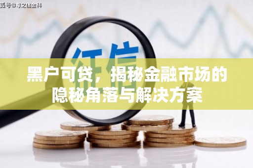 大岭山黑户可贷，揭秘金融市场的隐秘角落与解决方案