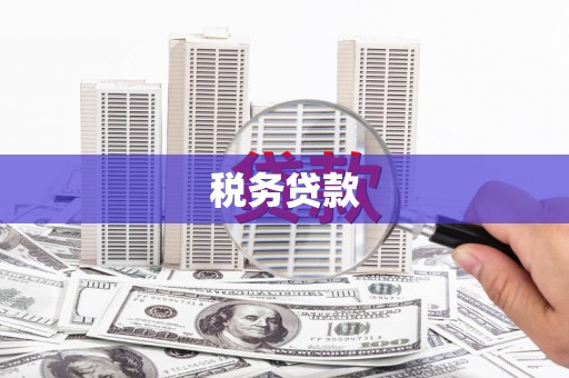 大岭山税务贷款