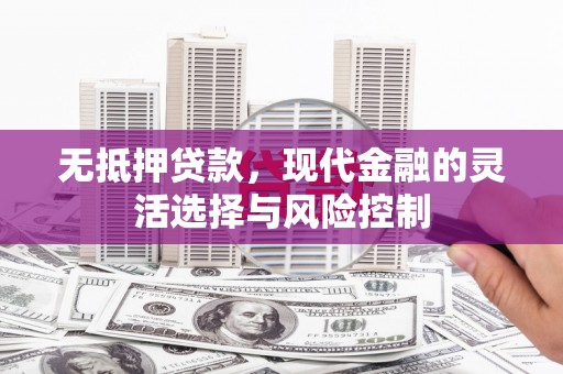 大岭山无抵押贷款，现代金融的灵活选择与风险控制
