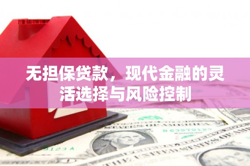 大岭山无担保贷款，现代金融的灵活选择与风险控制