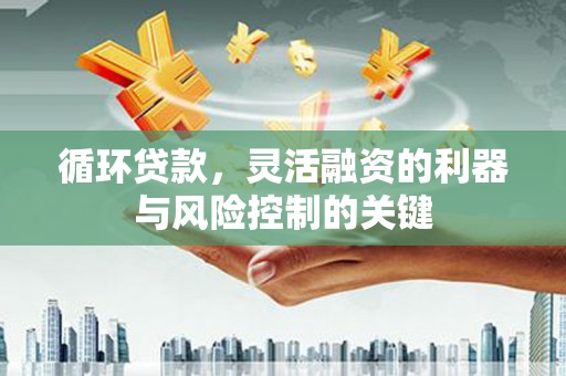 大岭山循环贷款，灵活融资的利器与风险控制的关键