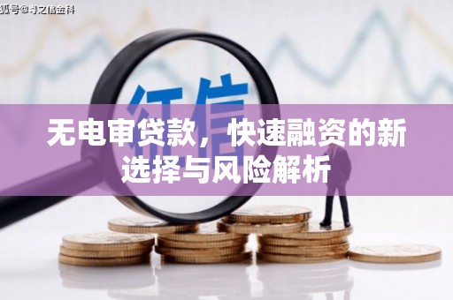 大岭山无电审贷款，快速融资的新选择与风险解析