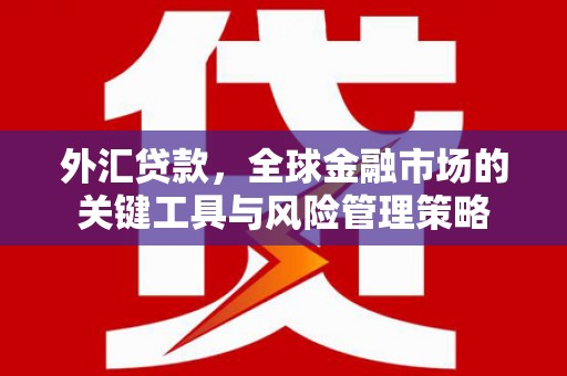 大岭山外汇贷款，全球金融市场的关键工具与风险管理策略