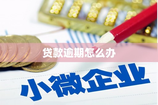 大岭山贷款逾期怎么办