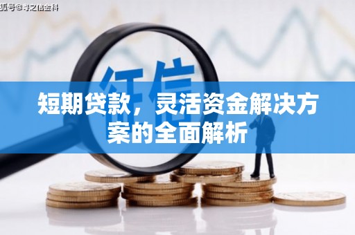 大岭山短期贷款，灵活资金解决方案的全面解析