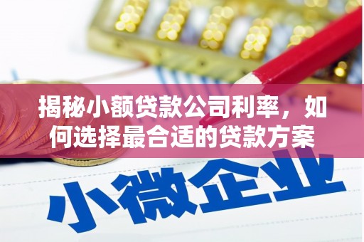 大岭山揭秘小额贷款公司利率，如何选择最合适的贷款方案