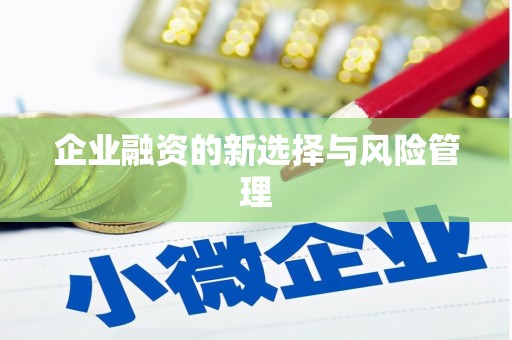 大岭山企业融资的新选择与风险管理